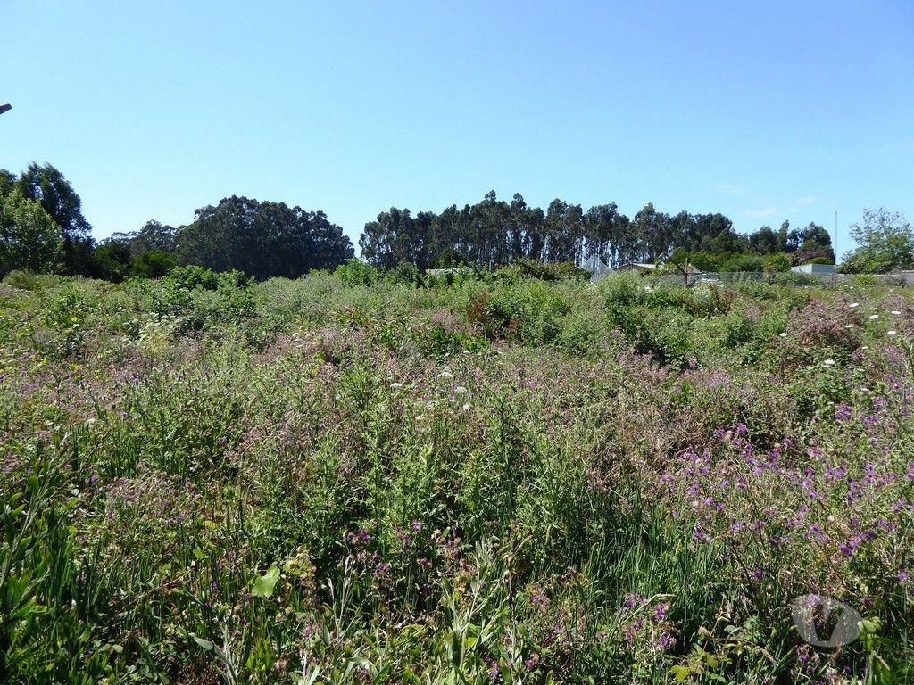 Terrenos Vila Nova de Gaia - Fotos para Terreno 5 900 m2 para construção habitacional. Porto, V. N.