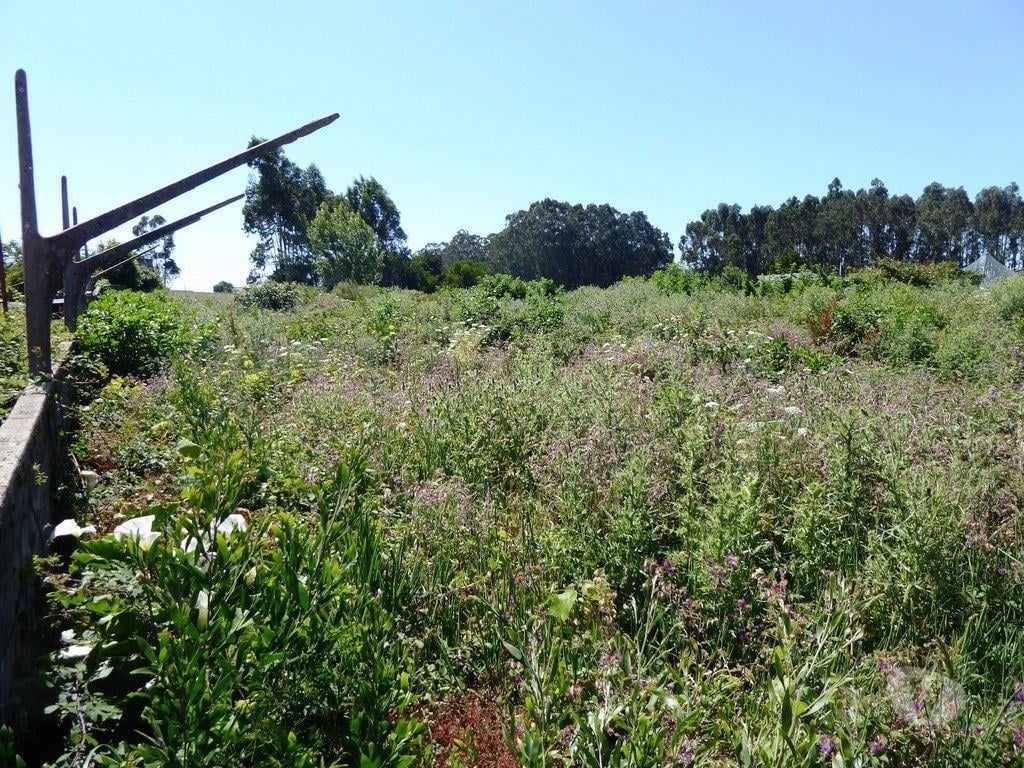 Terrenos Vila Nova de Gaia - Fotos para Terreno 5 900 m2 para construção habitacional. Porto, V. N.
