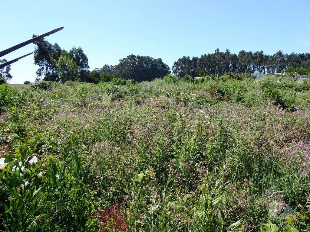 Terrenos Vila Nova de Gaia - Fotos para Terreno 5 900 m2 para construção habitacional. Porto, V. N.