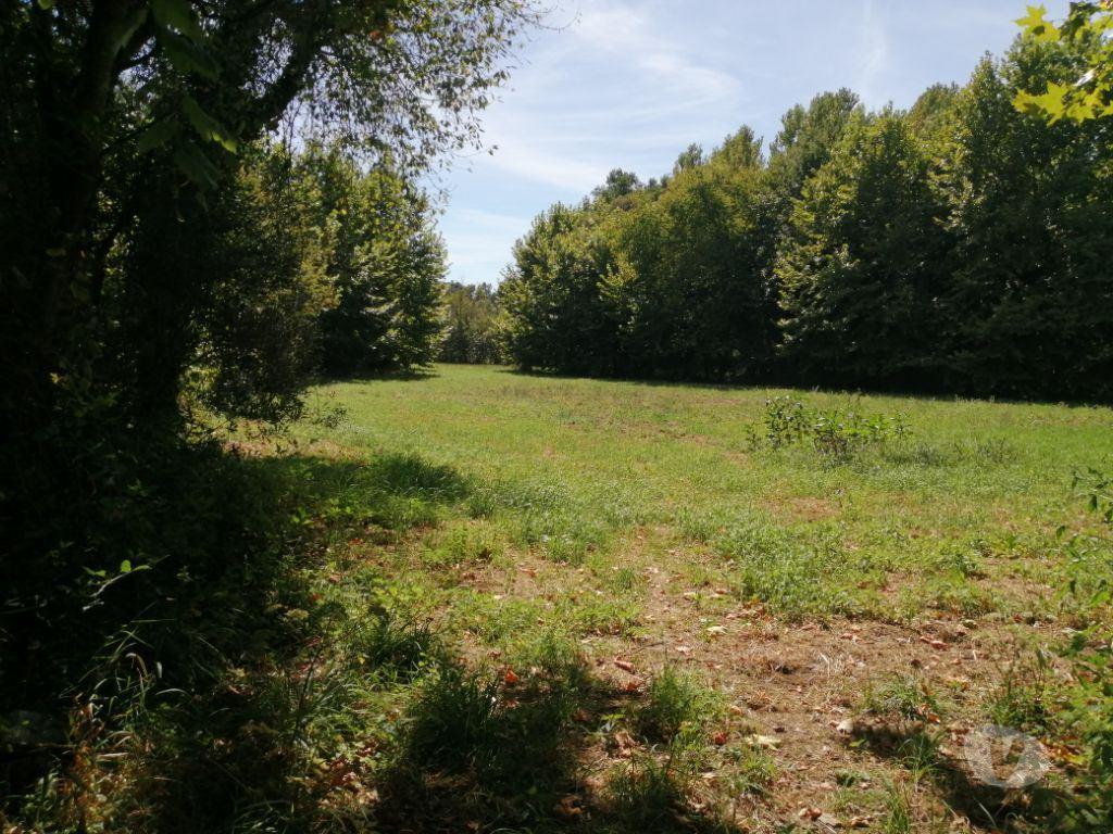 Terrenos Póvoa de Lanhoso - Fotos para Terreno agrícola, para venda, Póvoa de Lanhoso - Fonte Arcada e