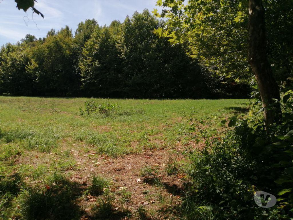 Terrenos Póvoa de Lanhoso - Fotos para Terreno agrícola, para venda, Póvoa de Lanhoso - Fonte Arcada e
