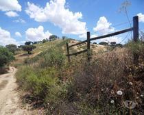 Ourique-Terreno em Ourique com 16.500 m2. (31676)