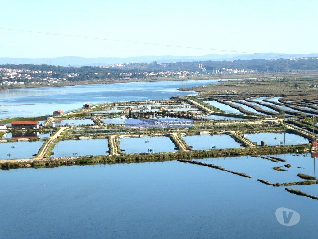 Terrenos Figueira da Foz - Fotos para 6,1 ha TERRENO próximo rio Mondego. Portugal, Coimbra, Figueira