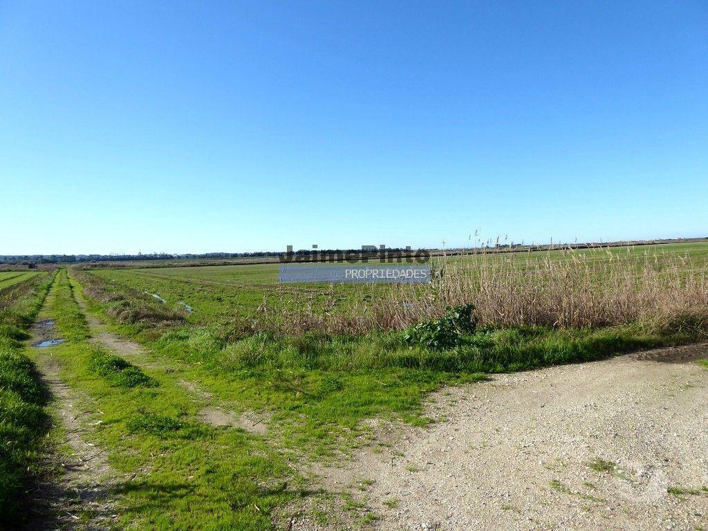 Terrenos Figueira da Foz - Fotos para 6,1 ha TERRENO próximo rio Mondego. Portugal, Coimbra, Figueira