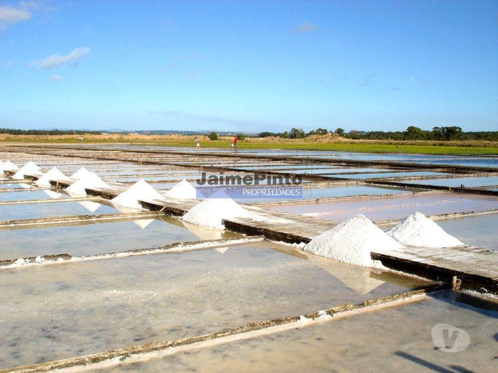 Terrenos Figueira da Foz - Fotos para 6,1 ha TERRENO próximo rio Mondego. Portugal, Coimbra, Figueira