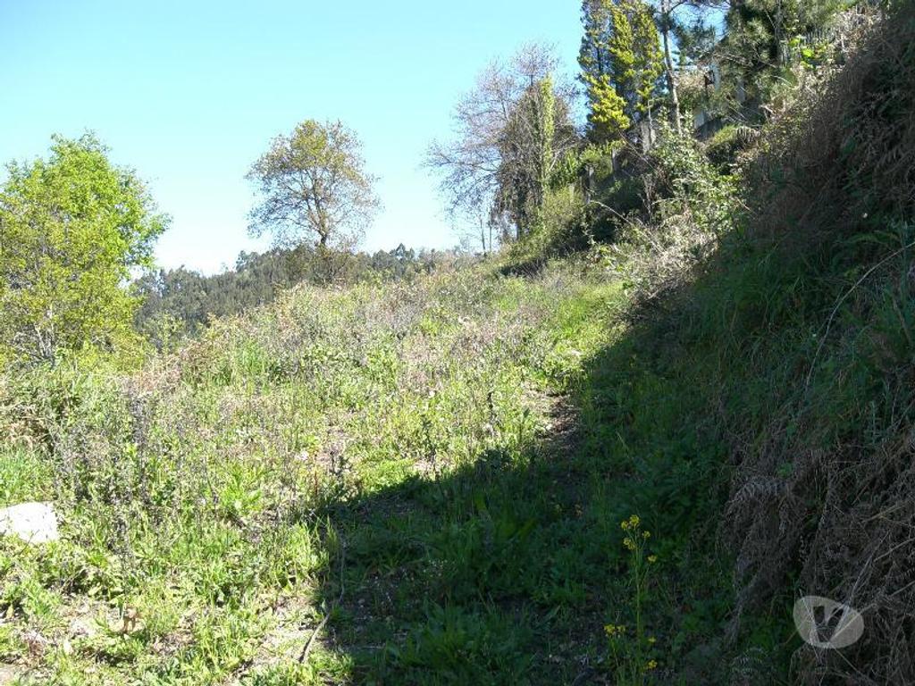 Terrenos Vieira do Minho - Fotos para Destinado a construção, com vistas para a barragem da Albuferira