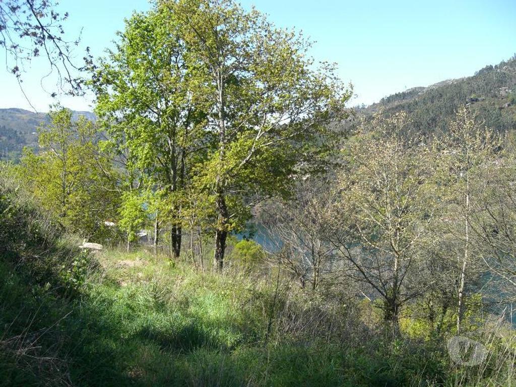 Terrenos Vieira do Minho - Fotos para Destinado a construção, com vistas para a barragem da Albuferira