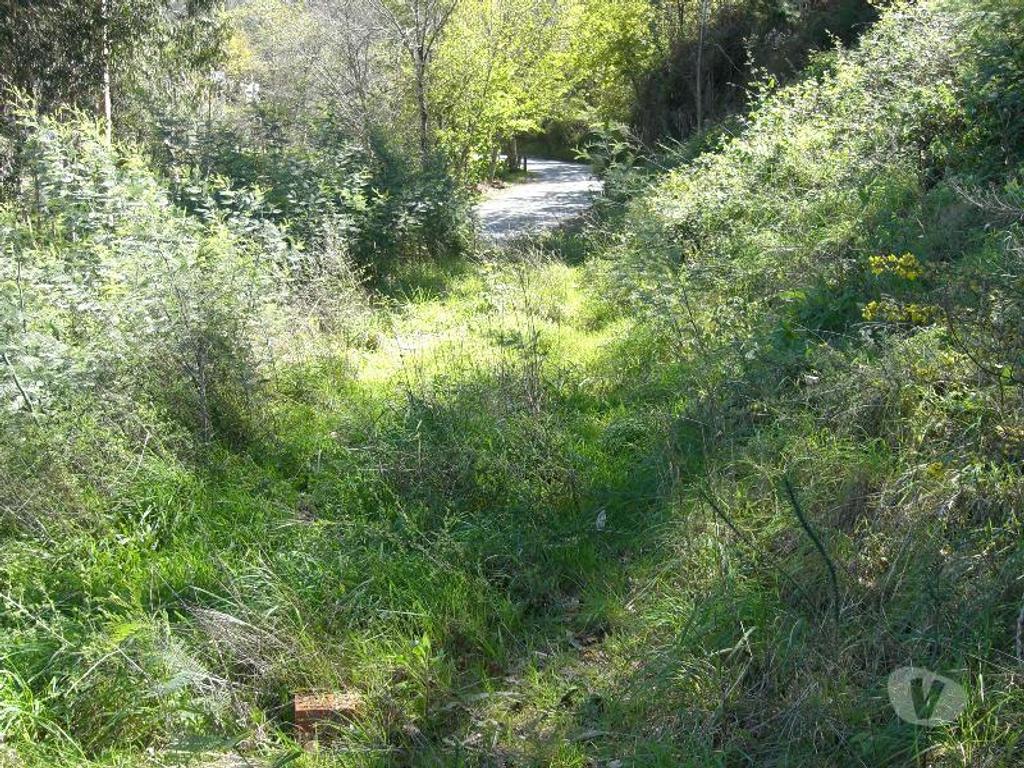 Terrenos Vieira do Minho - Fotos para Destinado a construção, com vistas para a barragem da Albuferira