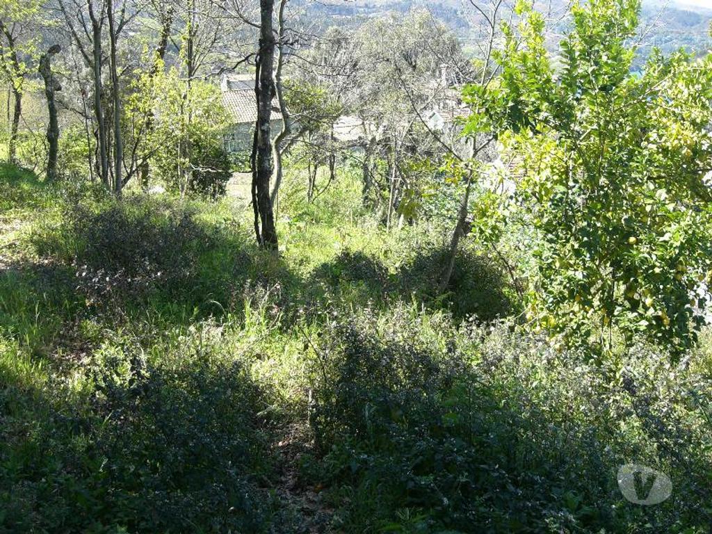 Terrenos Vieira do Minho - Fotos para Destinado a construção, com vistas para a barragem da Albuferira