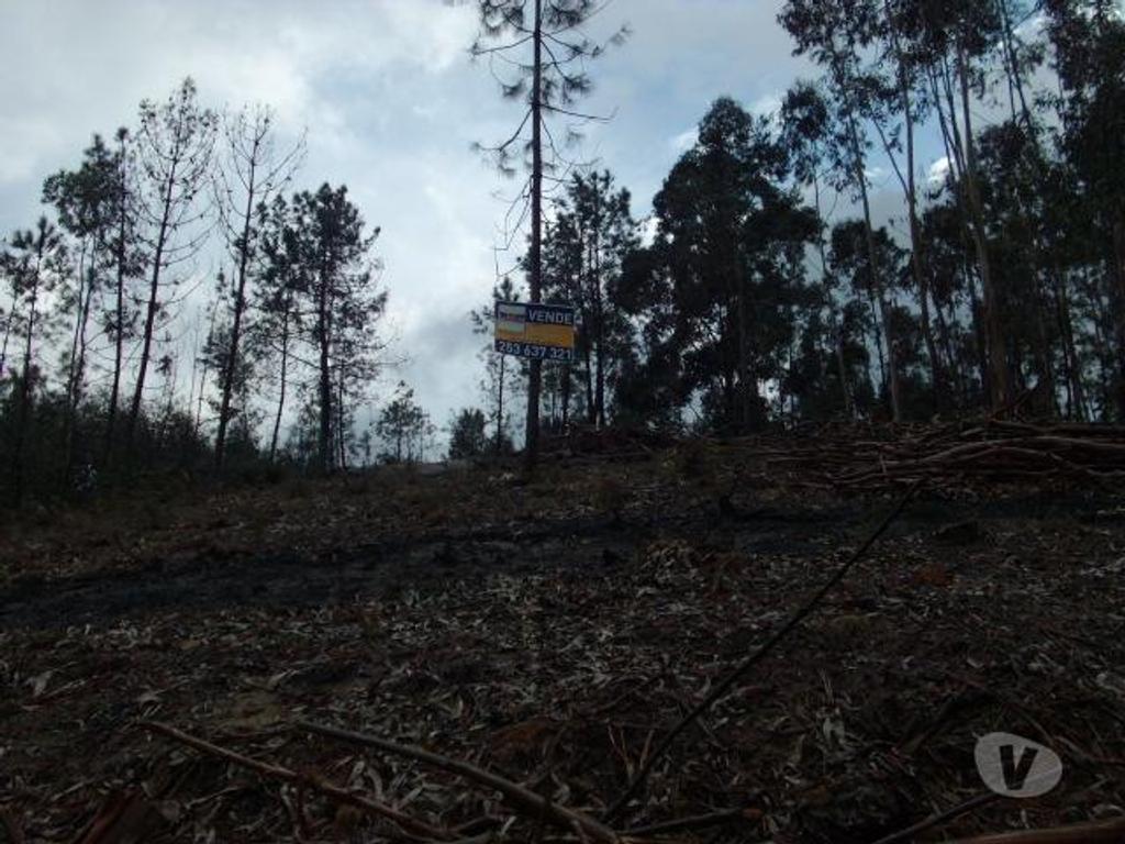 Terrenos Vieira do Minho - Fotos para Em zona de contrução, area do terreno de aproxi. 2360m2.