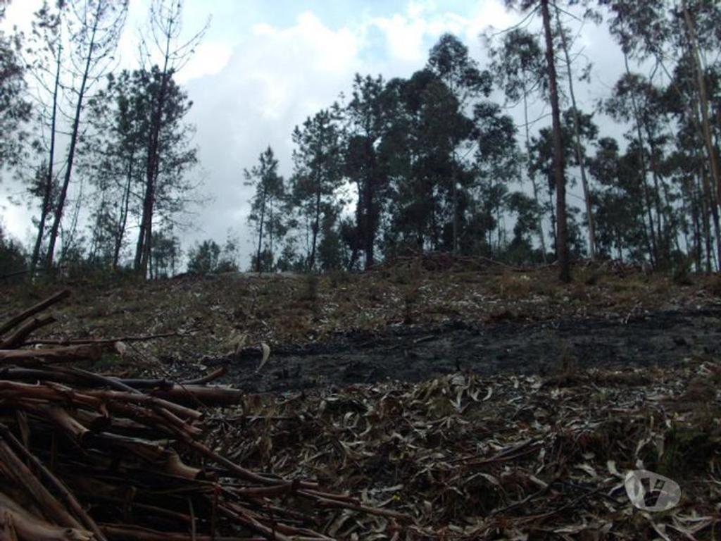 Terrenos Vieira do Minho - Fotos para Em zona de contrução, area do terreno de aproxi. 2360m2.