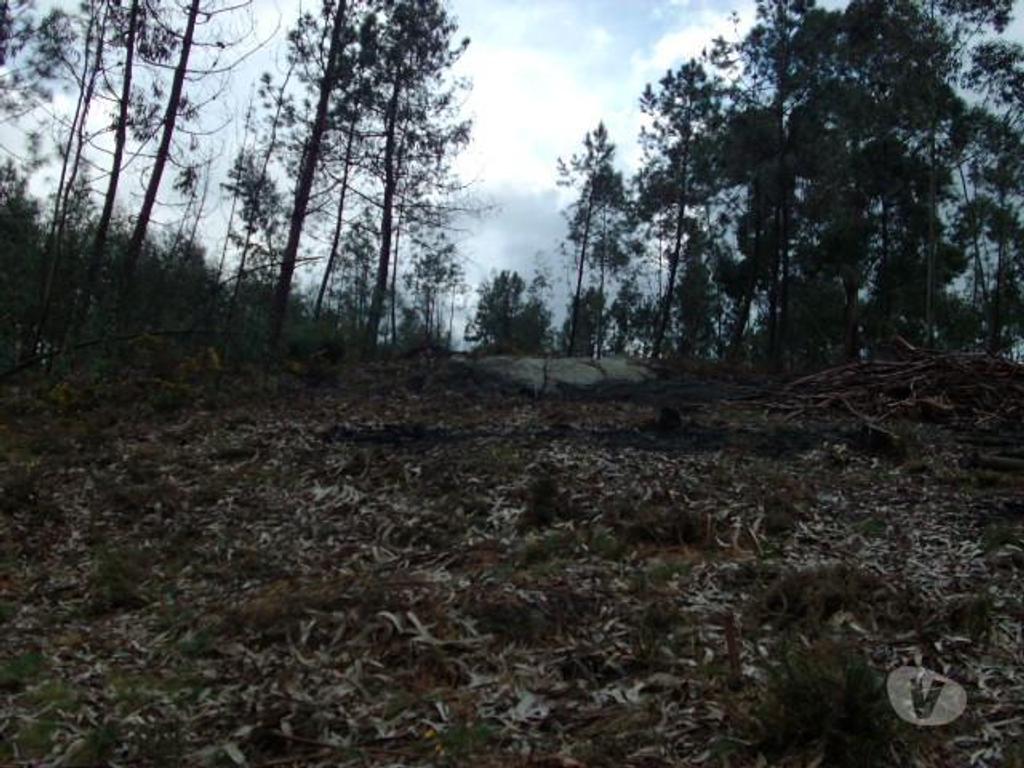 Terrenos Vieira do Minho - Fotos para Em zona de contrução, area do terreno de aproxi. 2360m2.