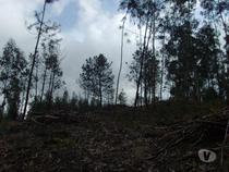 Em zona de contrução, area do terreno de aproxi. 2360m2.