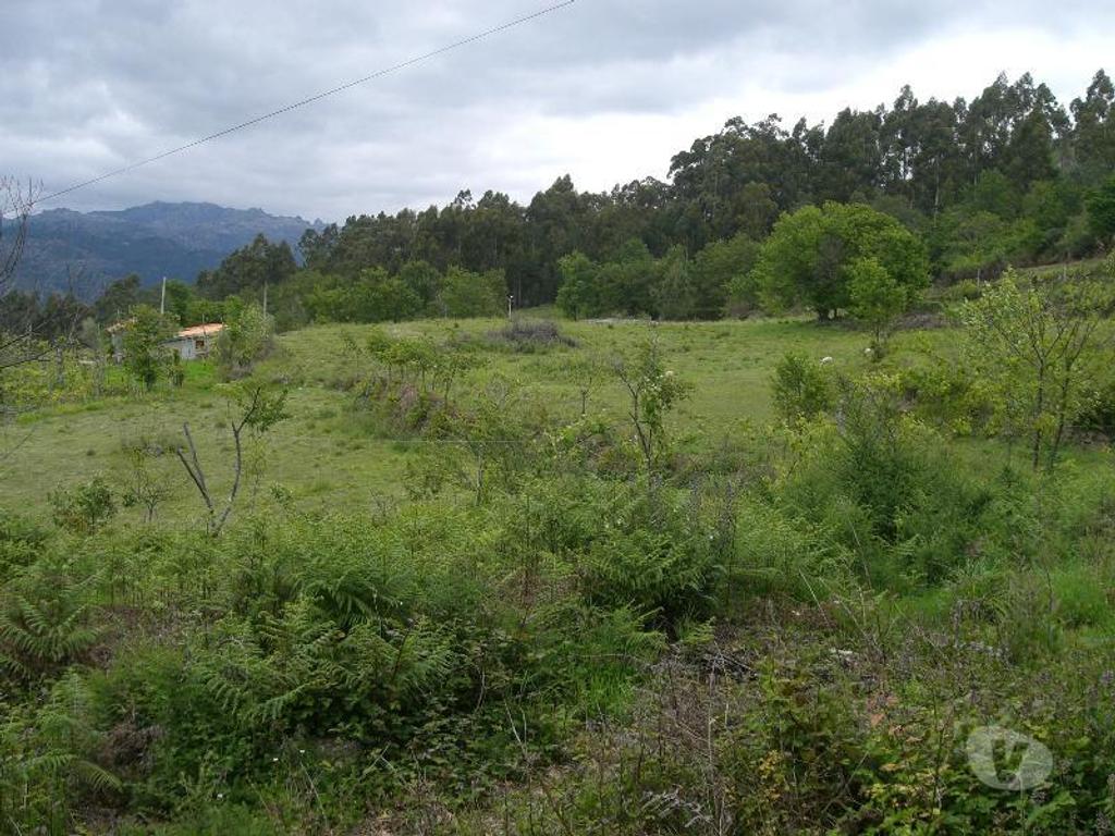 Terrenos Vieira do Minho - Fotos para Para construção, com vistas para a Barragem da Caniçada, com