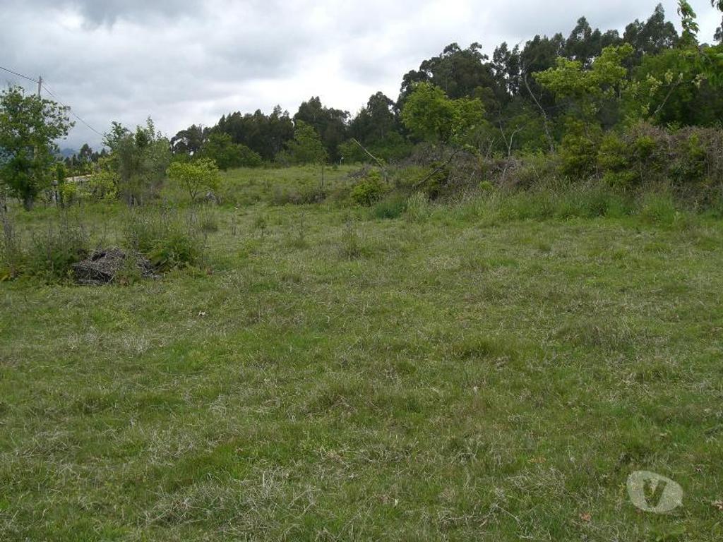 Terrenos Vieira do Minho - Fotos para Para construção, com vistas para a Barragem da Caniçada, com