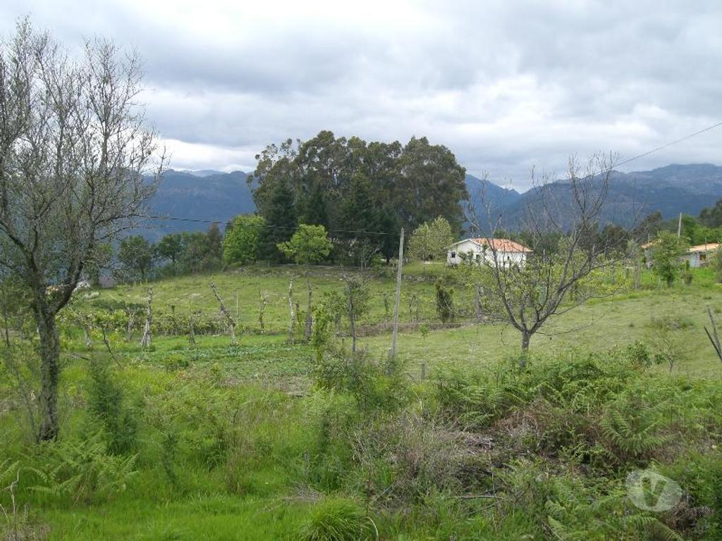 Terrenos Vieira do Minho - Fotos para Para construção, com vistas para a Barragem da Caniçada, com