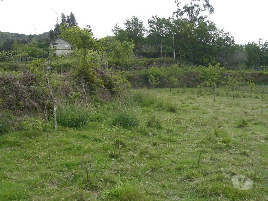 Terrenos Vieira do Minho - Fotos para Para construção, com vistas para a Barragem da Caniçada, com