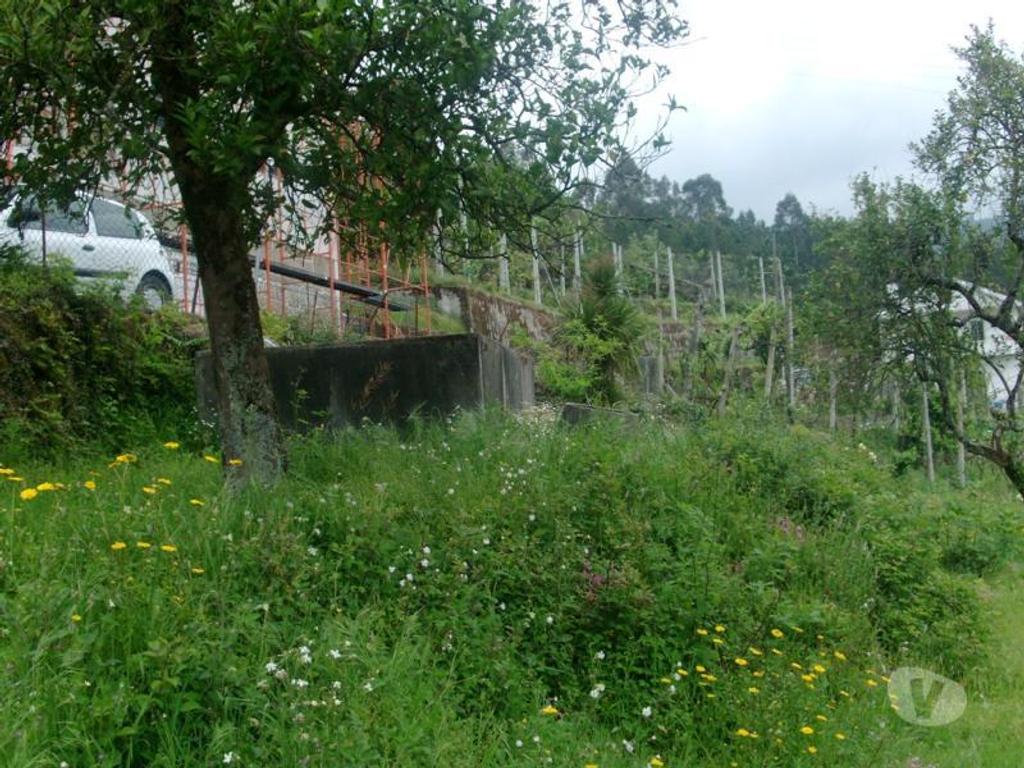 Terrenos Póvoa de Lanhoso - Fotos para Terreno com área aproximadamente de 1700m2, com viabilidade de