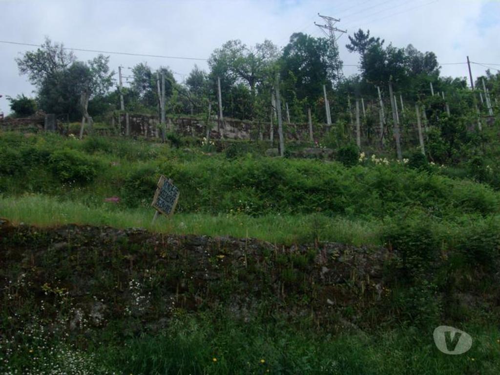 Terrenos Póvoa de Lanhoso - Fotos para Terreno com área aproximadamente de 1700m2, com viabilidade de