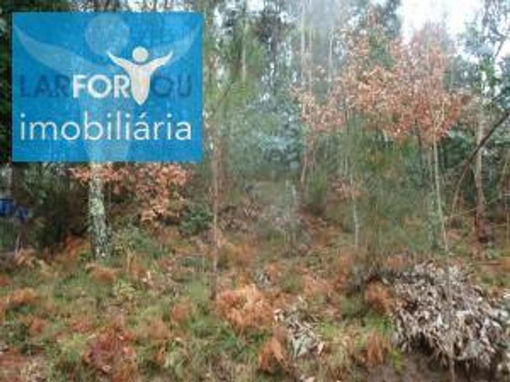 Terrenos Póvoa de Lanhoso - Fotos para Terreno rústico, para venda, Póvoa de Lanhoso - Esperança e