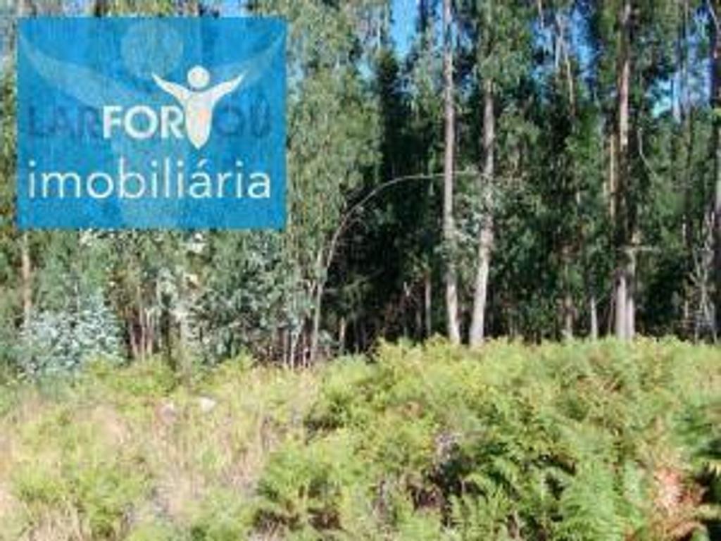 Terrenos Póvoa de Lanhoso - Fotos para Terreno rústico, para venda, Póvoa de Lanhoso - Esperança e