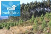 Fotos para Terreno rústico, para venda, Póvoa de Lanhoso - Esperança e