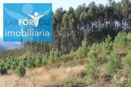 Terrenos - Fotos para Terreno rústico, para venda, Póvoa de Lanhoso - Esperança e