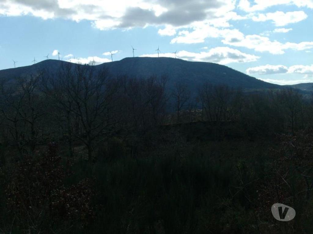 Terrenos Vieira do Minho - Fotos para Fantástico terreno a face da estrada, sem declive, com boas