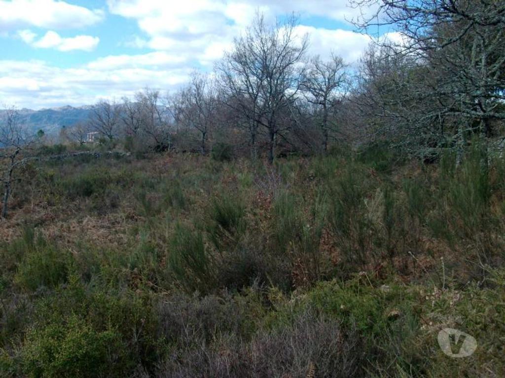 Terrenos Vieira do Minho - Fotos para Fantástico terreno a face da estrada, sem declive, com boas