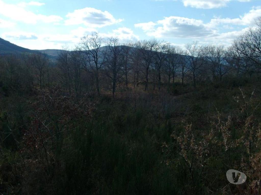 Terrenos Vieira do Minho - Fotos para Fantástico terreno a face da estrada, sem declive, com boas