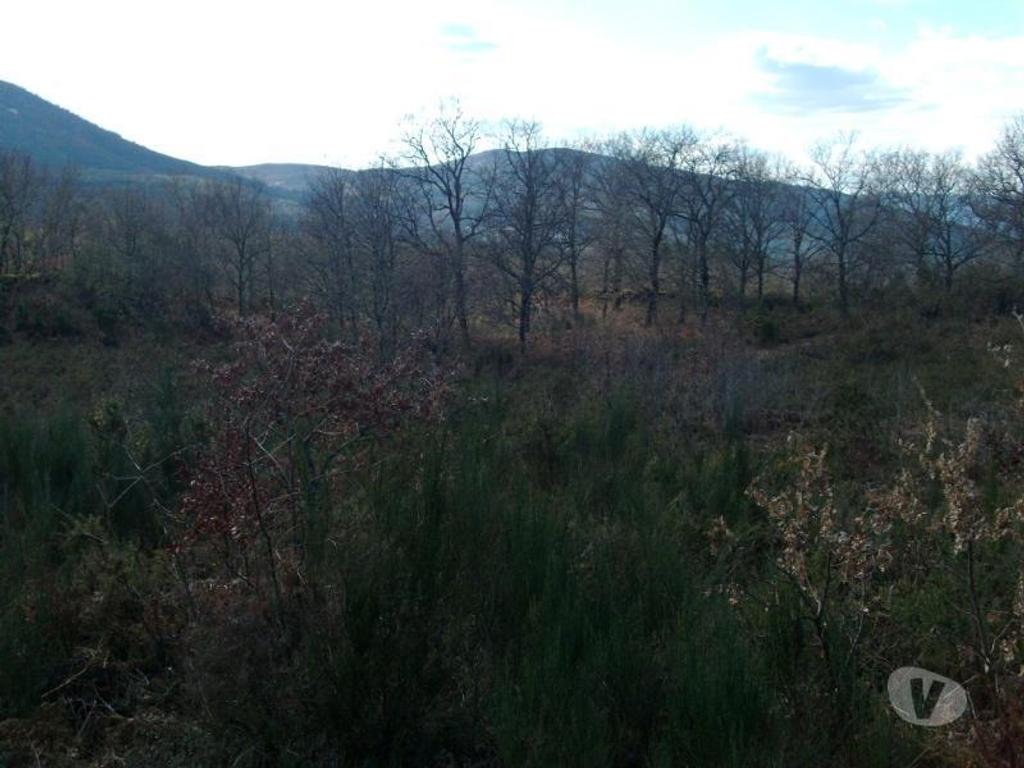 Terrenos Vieira do Minho - Fotos para Fantástico terreno a face da estrada, sem declive, com boas
