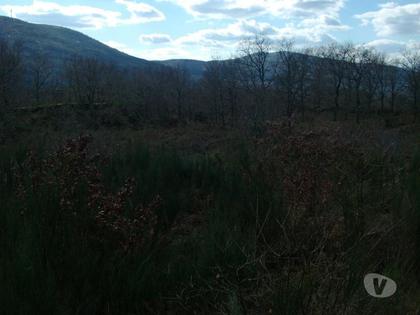 Terrenos a venda - Fotos para Fantástico terreno a face da estrada, sem declive, com boas