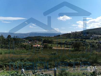 Terrenos a venda - Fotos para Baiao-Quintinha no Fojo - Gestaçô - Baião (034 20)