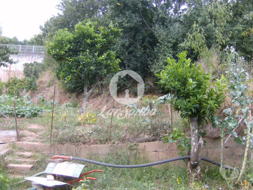 Terrenos Coimbra - Fotos para Terreno com Viabilidade de Construção - Santo António dos