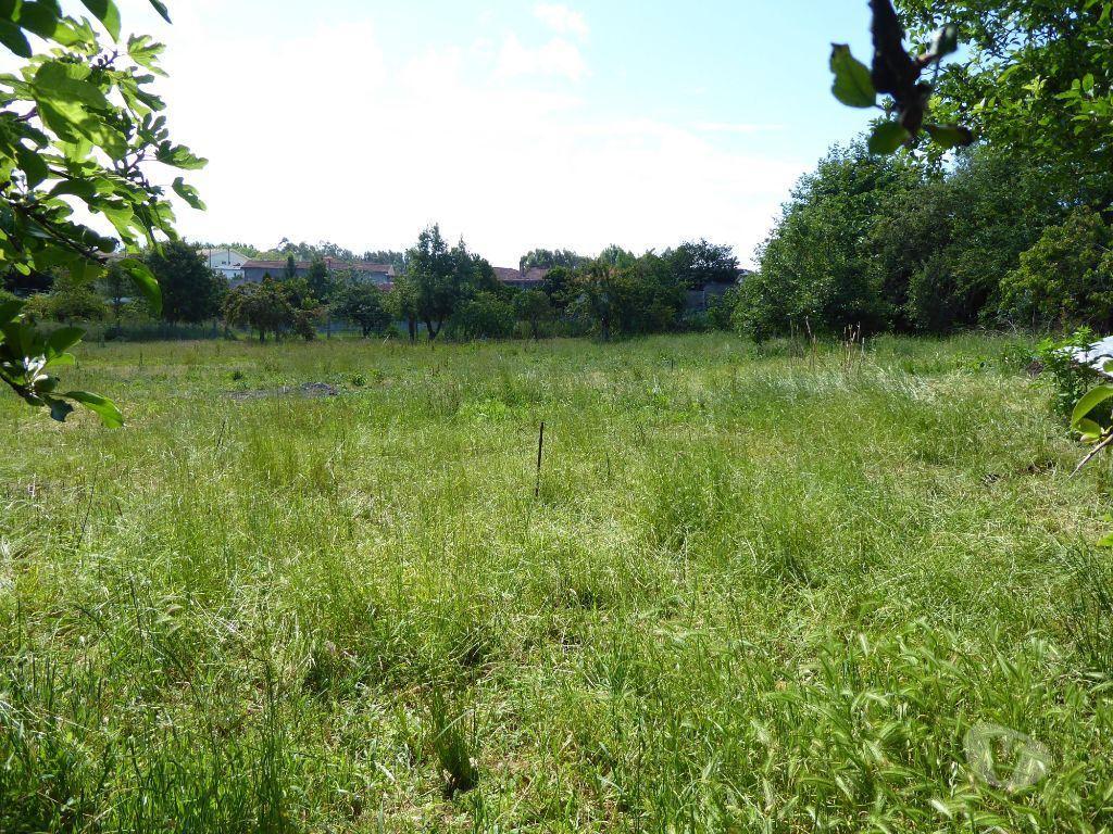 Comprar Loja Vila Nova de Gaia - Fotos para Quinta 6.300 m2 e casas velhas. Portugal, V. N. Gaia, S....