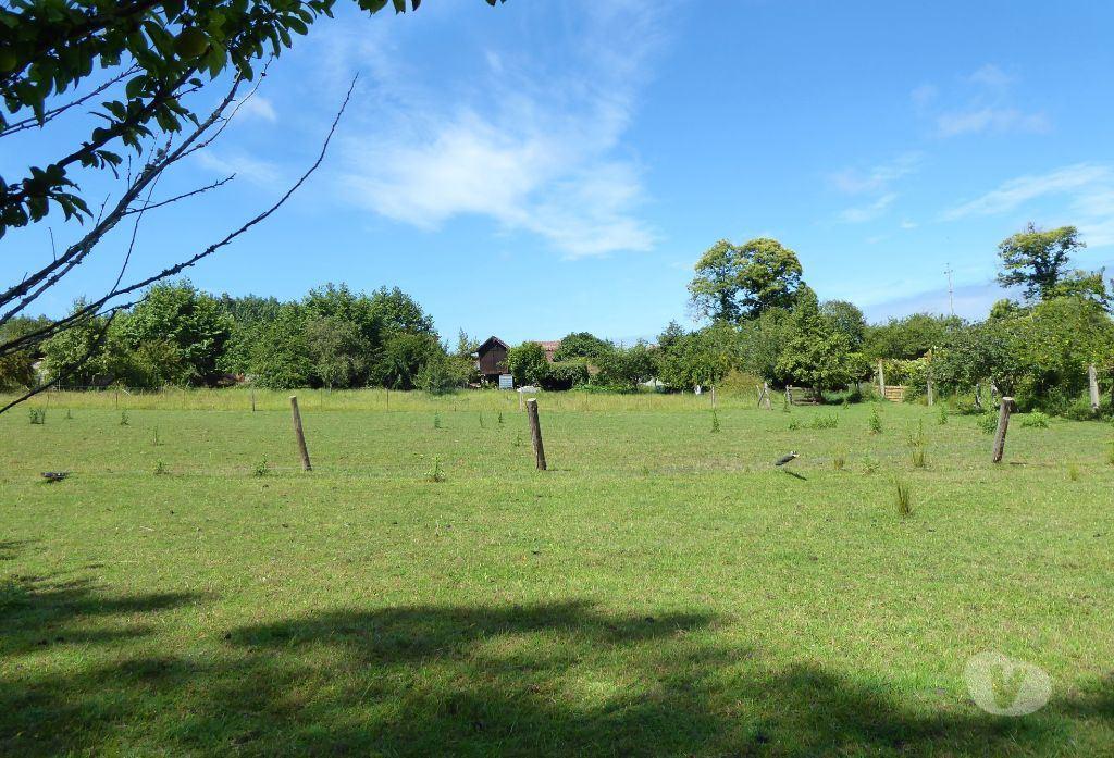 Comprar Loja Vila Nova de Gaia - Fotos para Quinta 6.300 m2 e casas velhas. Portugal, V. N. Gaia, S....
