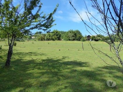 Venda imóveis comerciais - Fotos para Quinta 6.300 m2 e casas velhas. Portugal, V. N. Gaia, S....