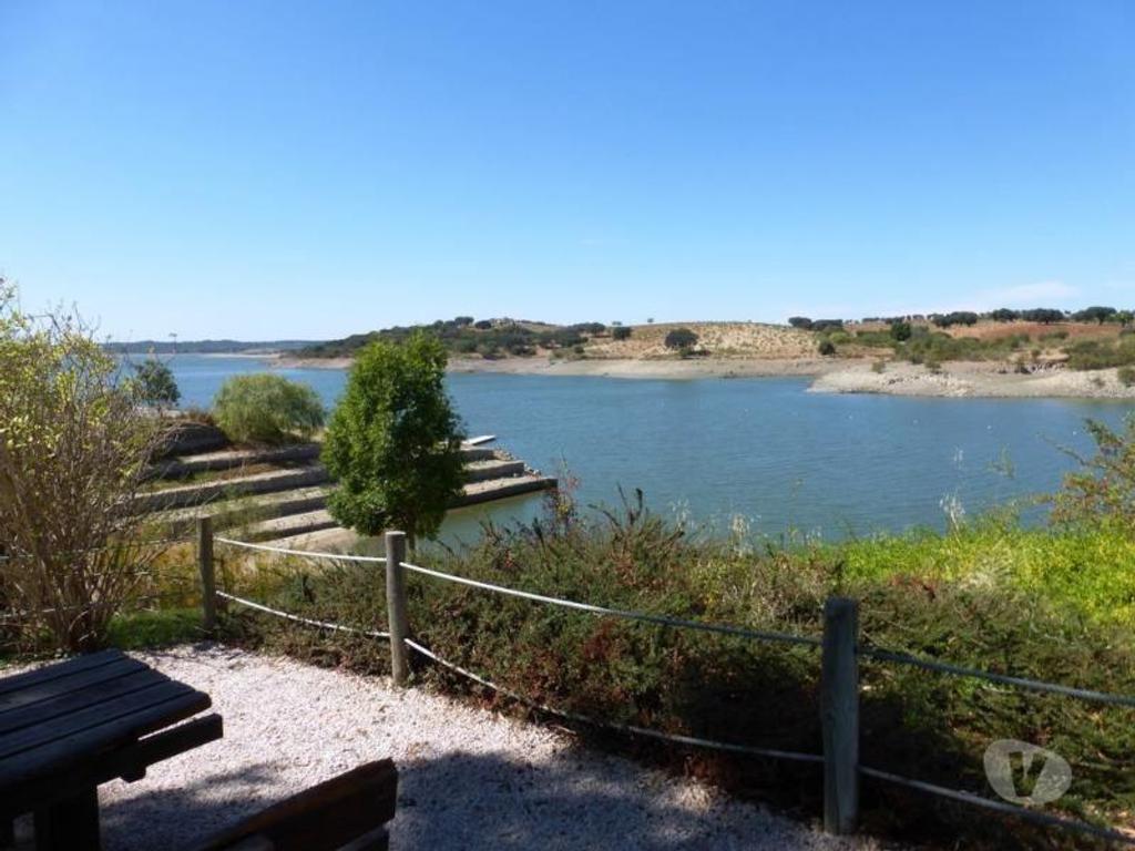 Terrenos Avis - Fotos para Olival de 17 ha em Avis, Portalegre, Alentejo, Portugal (6891_T)