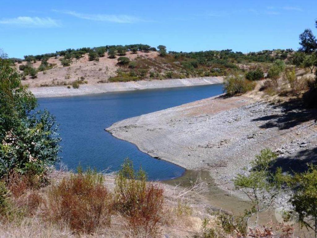 Terrenos Avis - Fotos para Olival de 17 ha em Avis, Portalegre, Alentejo, Portugal (6891_T)