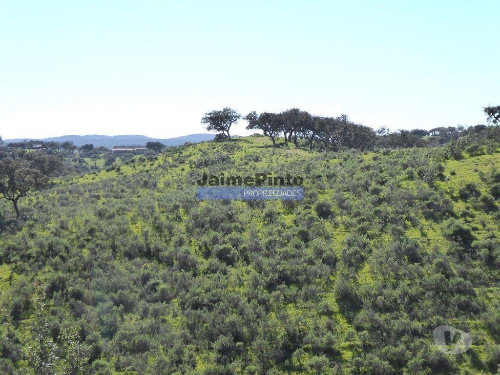 Terrenos Portel - Fotos para 360ha Herdade próx. lago do Alqueva e praia da Amieira.