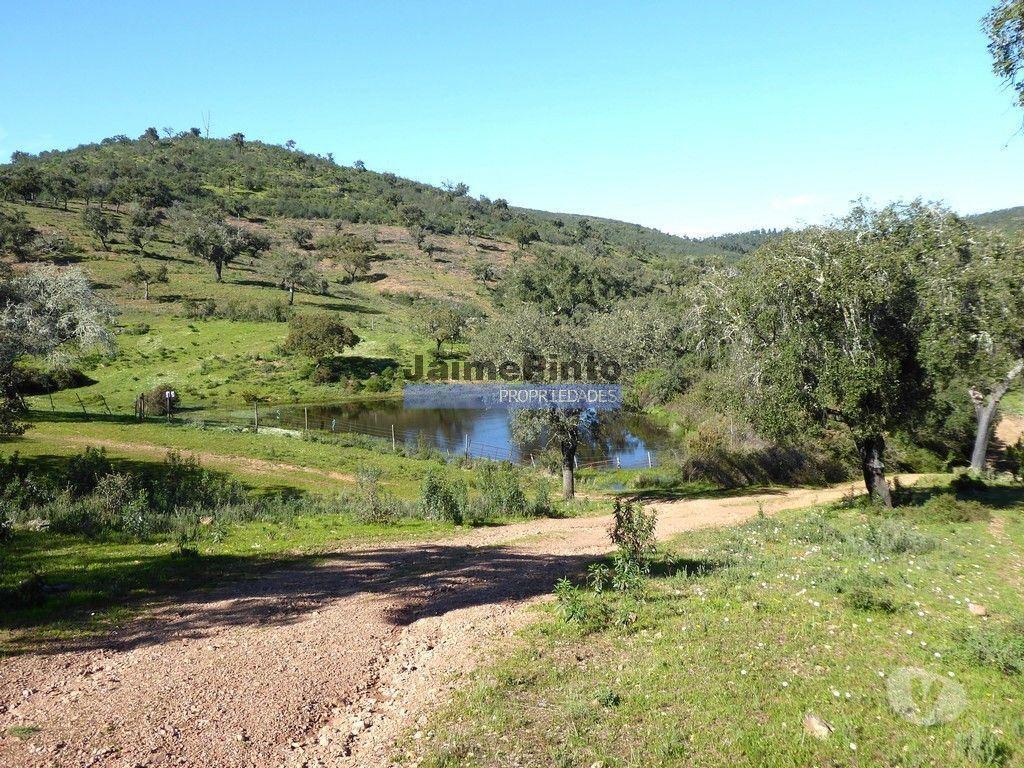 Terrenos Portel - Fotos para 360ha Herdade próx. lago do Alqueva e praia da Amieira.
