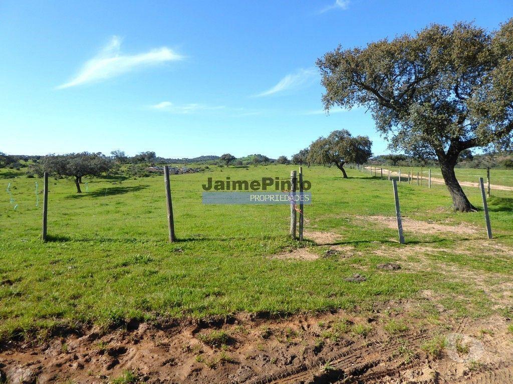 Terrenos Portel - Fotos para 360ha Herdade próx. lago do Alqueva e praia da Amieira.