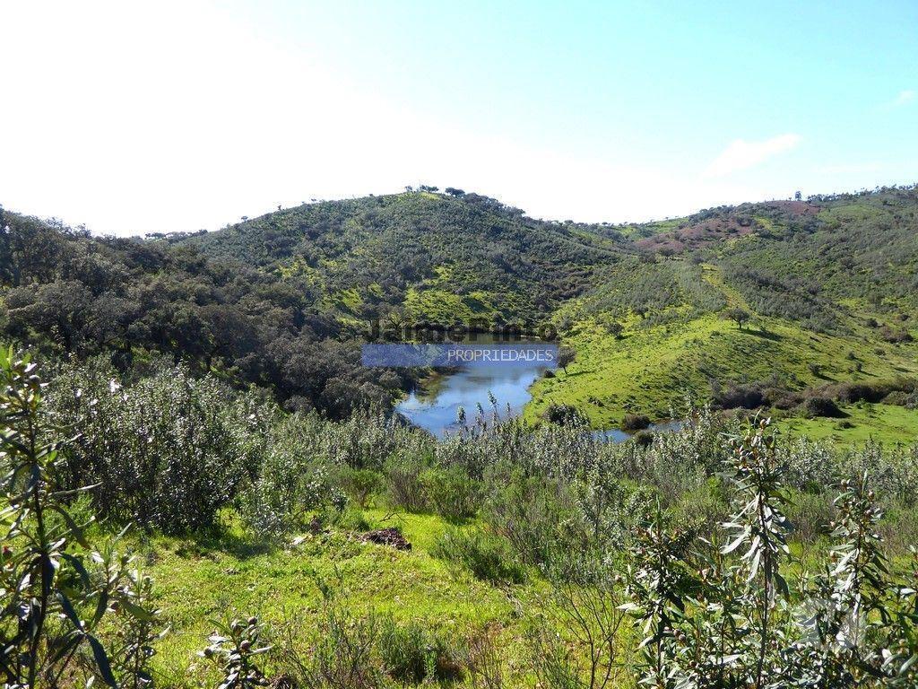 Terrenos Portel - Fotos para 360ha Herdade próx. lago do Alqueva e praia da Amieira.