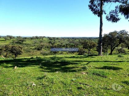 Terrenos e quintas a venda - Fotos para 360ha Herdade próx. lago do Alqueva e praia da Amieira.