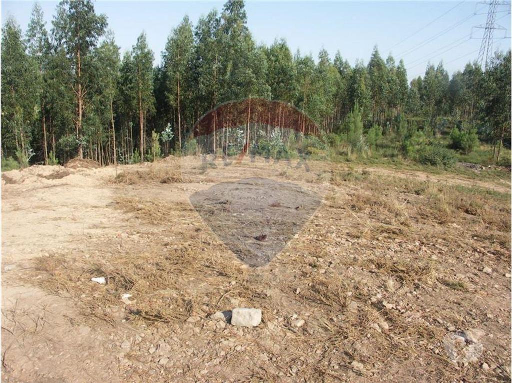 Terrenos Valongo - Fotos para Valongo-Terreno Rústico com 6600m2 (125061005-29)