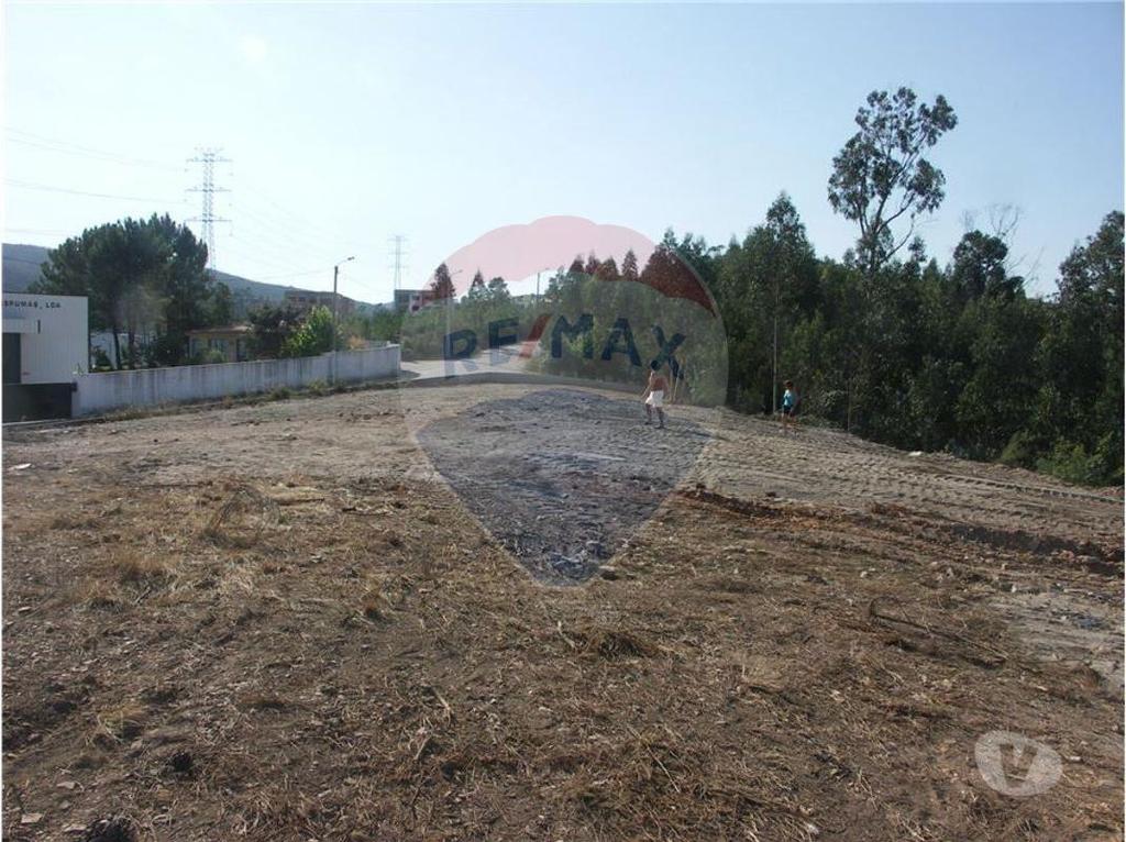 Terrenos Valongo - Fotos para Valongo-Terreno Rústico com 6600m2 (125061005-29)