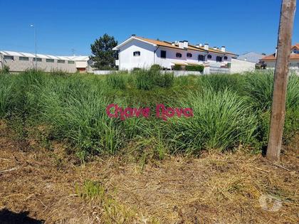 Terrenos - Fotos para Lote p Moradia Geminada - São João de Vêr (SMF 01609)