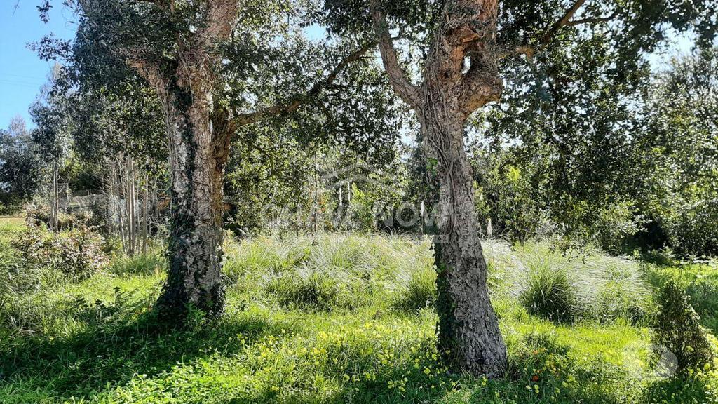 Terrenos Vila Nova de Gaia - Fotos para Terreno para construção em Arcozelo junto a A29 V.N.Gaia