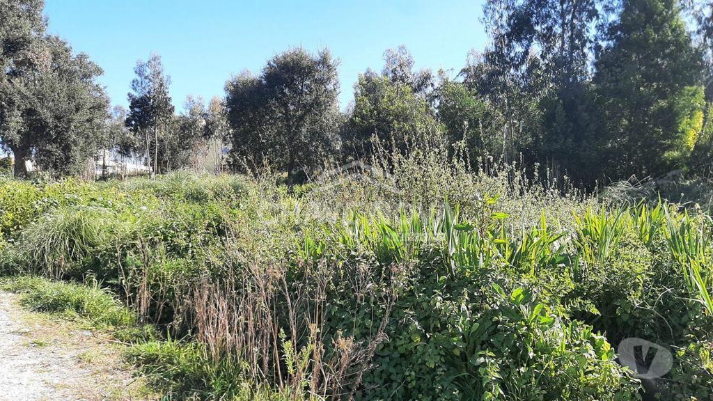 Terrenos Vila Nova de Gaia - Fotos para Terreno para construção em Arcozelo junto a A29 V.N.Gaia