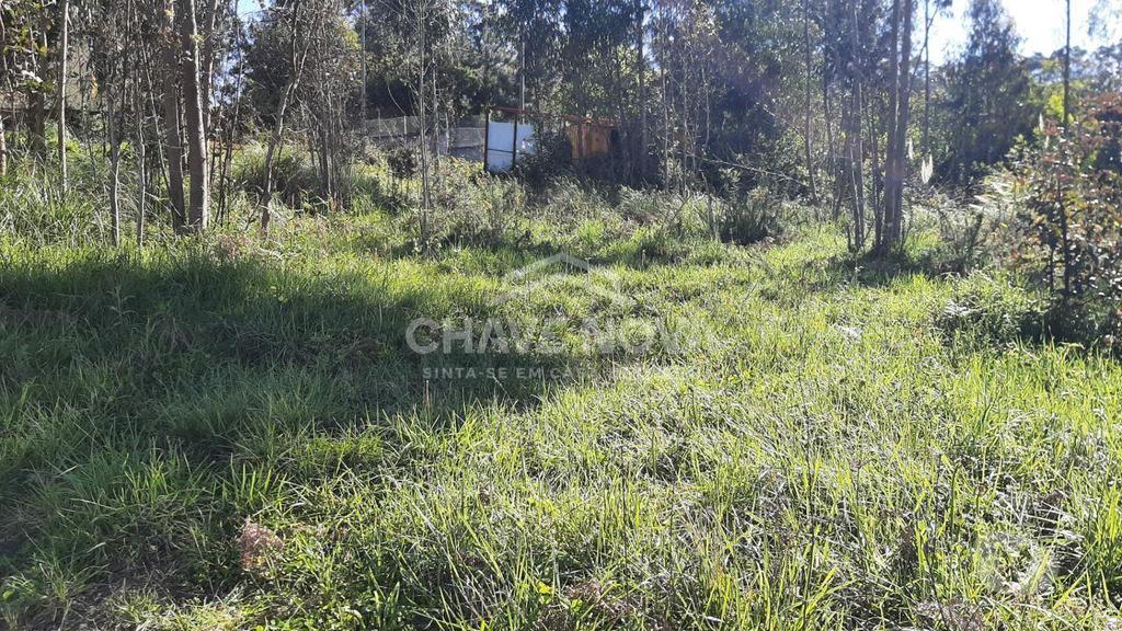 Terrenos Vila Nova de Gaia - Fotos para Terreno para construção em Arcozelo junto a A29 V.N.Gaia